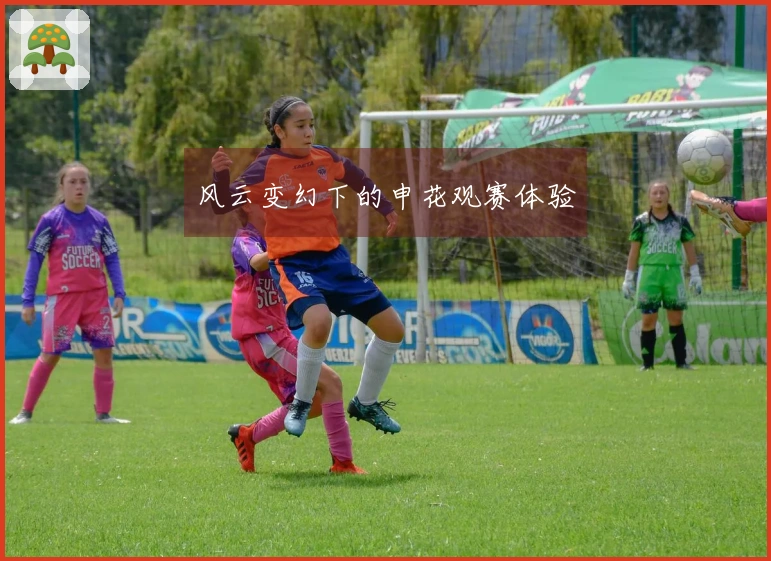 风云变幻下的申花观赛体验