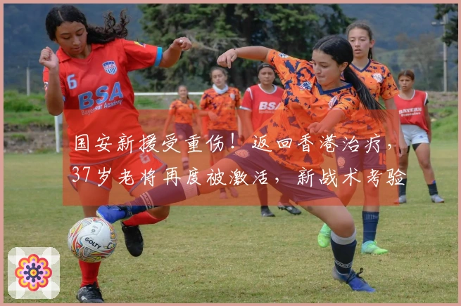国安新援受重伤！返回香港治疗，37岁老将再度被激活，新战术考验球队能力
