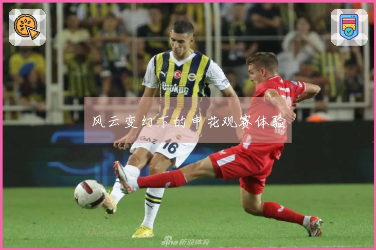 风云变幻下的申花观赛体验