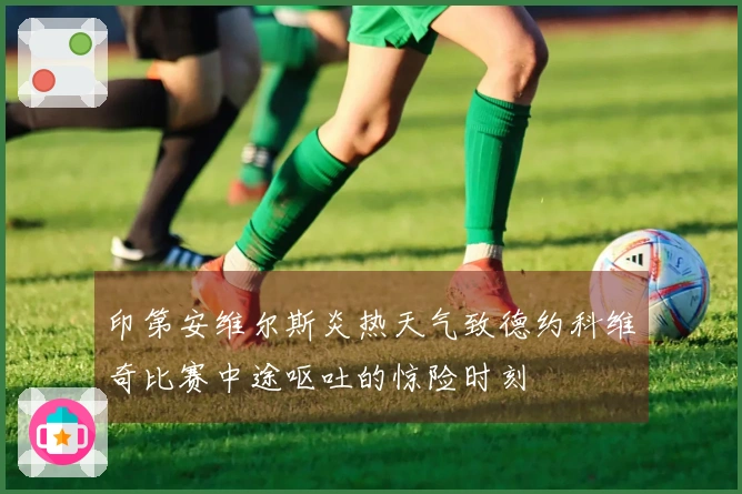 印第安维尔斯炎热天气致德约科维奇比赛中途呕吐的惊险时刻